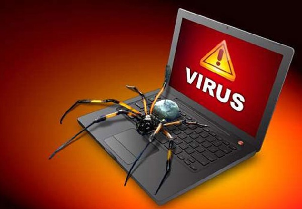 tác hại của virus